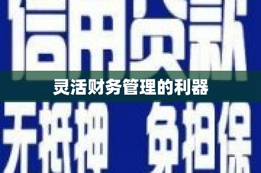 阳高灵活财务管理的利器
