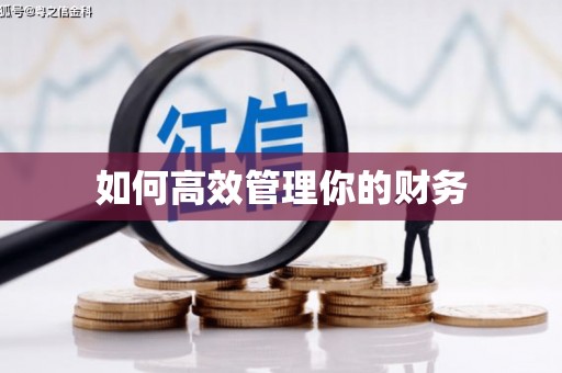 阳高如何高效管理你的财务