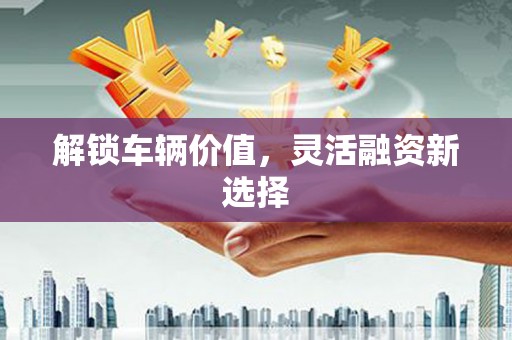 阳高解锁车辆价值，灵活融资新选择
