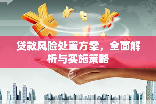 阳高贷款风险处置方案，全面解析与实施策略