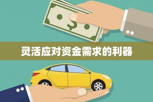 阳高灵活应对资金需求的利器