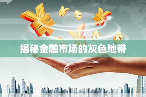 阳高揭秘金融市场的灰色地带