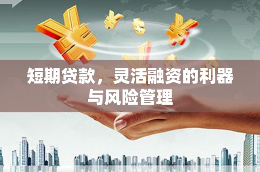 阳高短期贷款，灵活融资的利器与风险管理